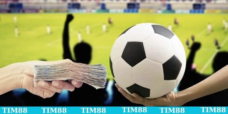 Giải đáp TIM88 bị bóp kèo không