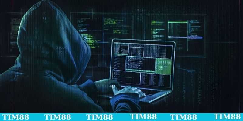 Giải đáp TIM88 có bị phốt chưa