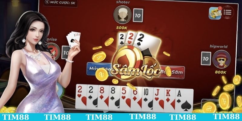 Lưu ý khi cược tại TIM88