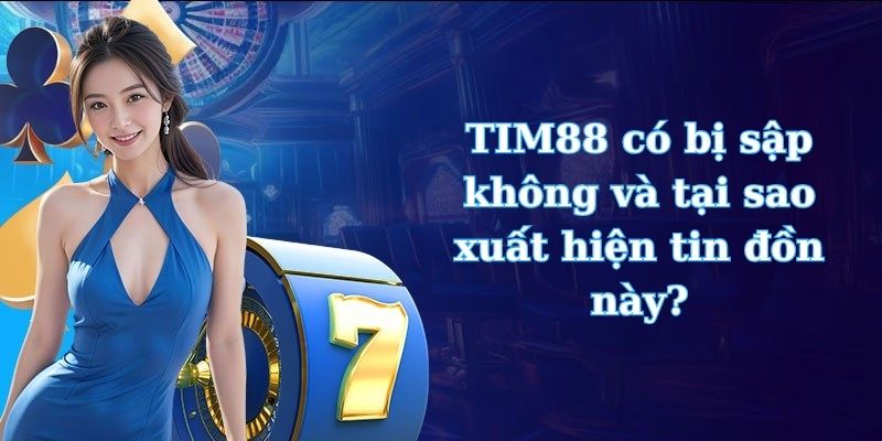 TIM88 có bị sập không