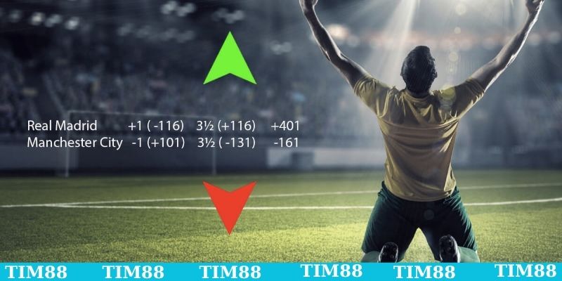 TIM88 cung cấp kèo minh bạch